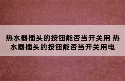 热水器插头的按钮能否当开关用 热水器插头的按钮能否当开关用电